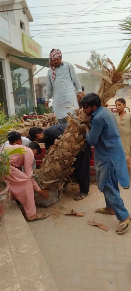 Green Seekers Activity